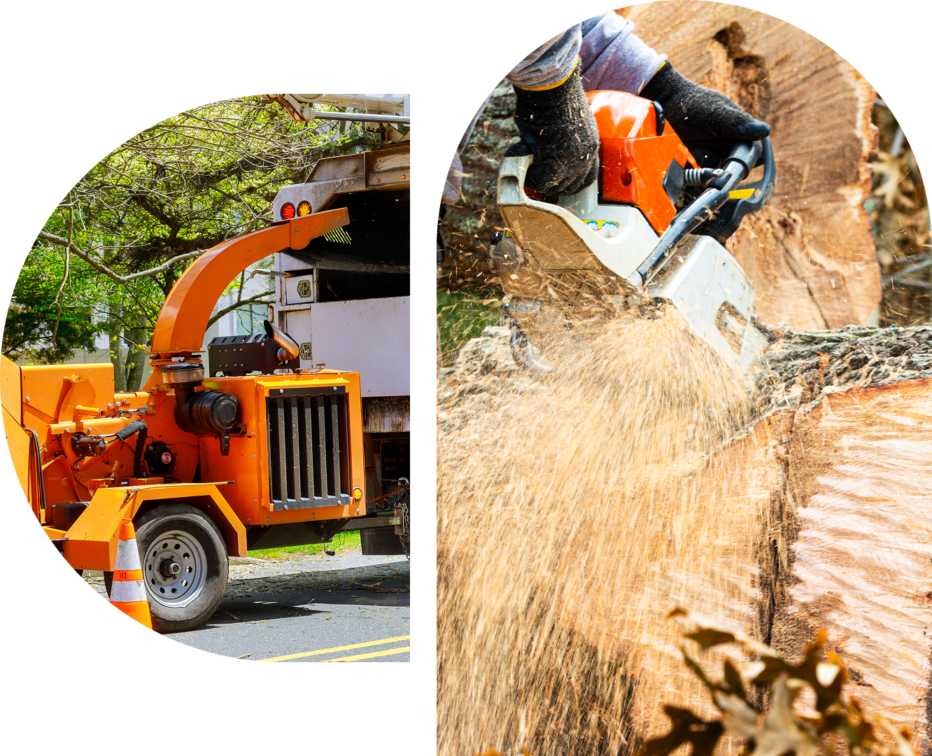 Woodchipper and chainsaw cutting tree logs.