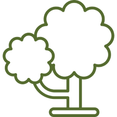 Outline of two trees on black background.